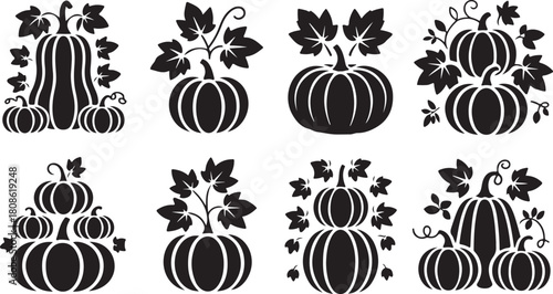 Black Silhouette Pumpkin Arrangements with Leaves and Vines for Autumn and Halloween pumpkins squash