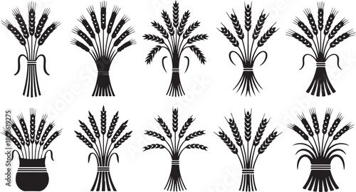 Bundles of Wheat Stalks in Black and White Graphic Style grain harvest
