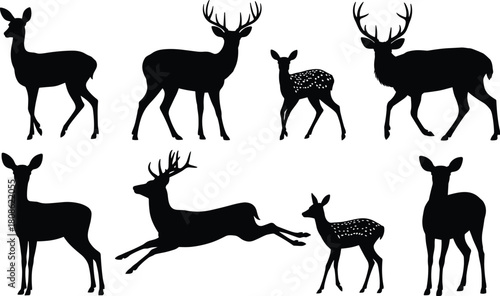 PrintCollection of detailed deer, stag, and fawn silhouettes in various poses, wildlife vector illustration set for forest nature design elements