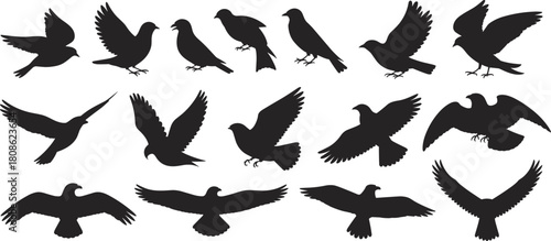 PrintSilhouette collection of various flying and perched birds, detailed black vector bird illustrations for nature, wildlife, motion graphics, and creative design projects