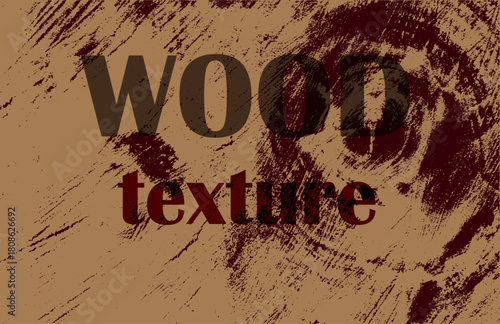 A texture with a cross section of wood. To design menus, booklets, covers, backgrounds, flyers