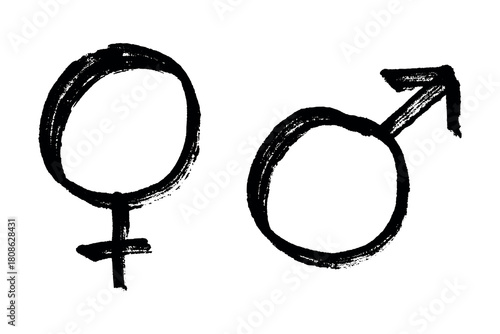 Hand drawn female and male gender identity sign Symbol used to represent sex and gender Single element for print, web, design, decor