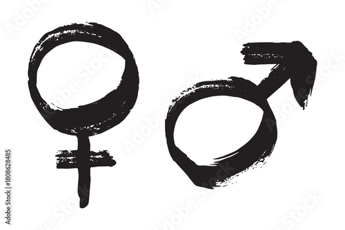 Hand drawn female and male gender identity sign Symbol used to represent sex and gender Single element for print, web, design, decor