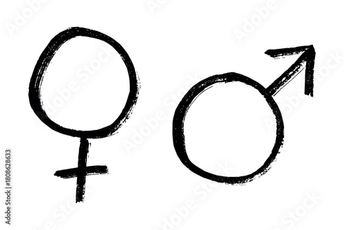 Hand drawn female and male gender identity sign Symbol used to represent sex and gender Single element for print, web, design, decor
