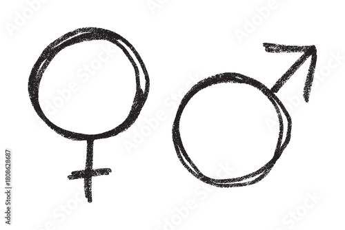 Hand drawn female and male gender identity sign Symbol used to represent sex and gender Single element for print, web, design, decor