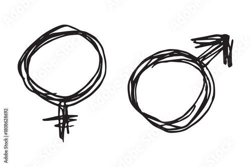 Hand drawn female and male gender identity sign Symbol used to represent sex and gender Single element for print, web, design, decor