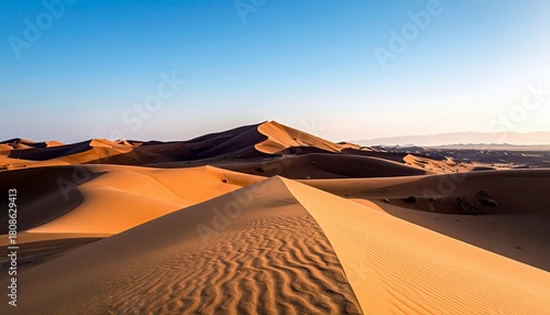 Fototapeta Naklejka Na Ścianę i Meble -  Vast golden sand dunes stretch across the horizon under a clear, bright blue sky, with subtle ripples in the sand indicating wind movement.