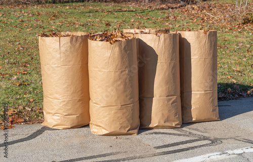 fallen leaves collected in recycle paper bag in autumn for curbside recycling
