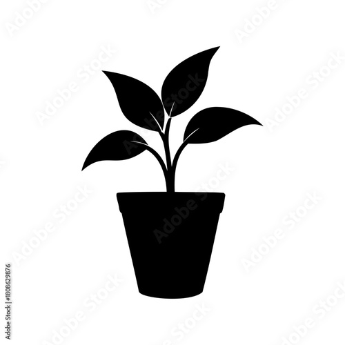 Silhouette of a potted plant with leafy stems and a simple container
