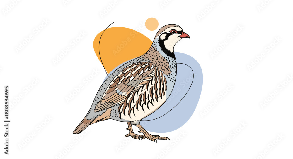 Fototapeta premium Stylized illustration of a Chukar partridge, a game bird with bold black, white, and brown plumage, set against abstract pastel shapes.