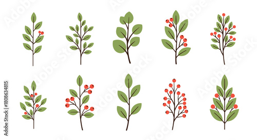 Collection of simple botanical illustrations featuring green leaves and red berries on various branches, perfect for nature-inspired designs.