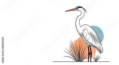 Minimalist line art illustration of a serene white heron or egret standing amidst reeds with abstract background elements.
