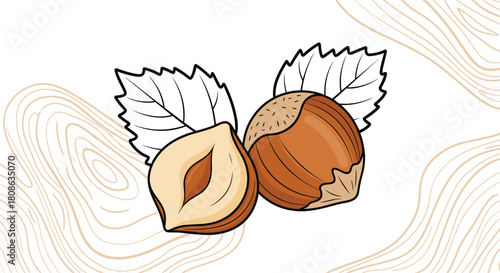 Illustration of a whole hazelnut and a halved hazelnut with leaves on a light wood grain background.