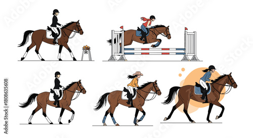 Diverse equestrian scenes featuring riders and horses in various disciplines like dressage, show jumping, and leisurely rides.