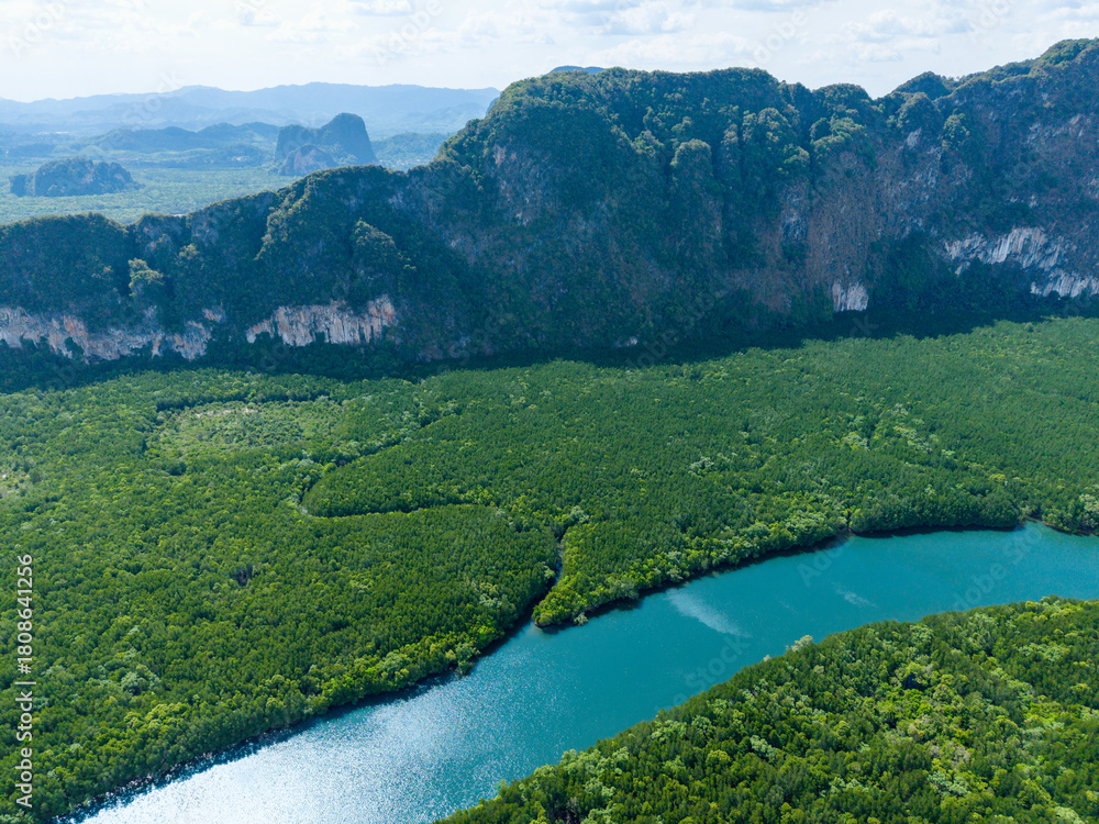 Fototapeta premium Aerial view of a vibrant turquoise river running through dense mangrove forest in Southern Thailand.