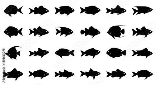 Fish Silhouette Vector Illustration Showing Multiple Swim Positions and Fin Angles in Minimal Marine Style

