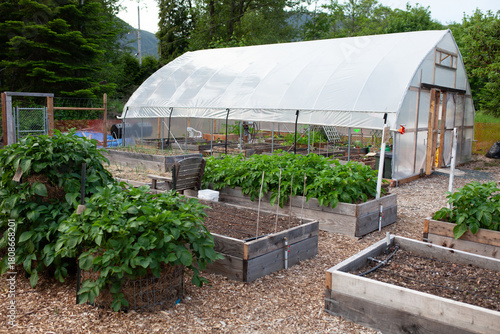 High tunnel greenhouse in a community garden with raised garden beds
