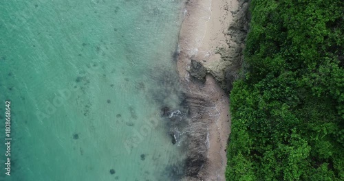 Aerial view of coast beach and woods landscape.