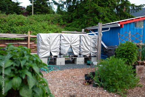 Three water storage tanks at a community garden for rain catchment