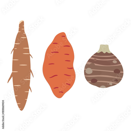 An illustration featuring three common root vegetables: cassava, sweet potato, and taro, displayed side by side on a white background.