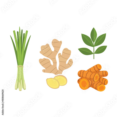 Illustration of various aromatic spices and herbs including lemongrass, ginger, turmeric, and green leaves on a white background.