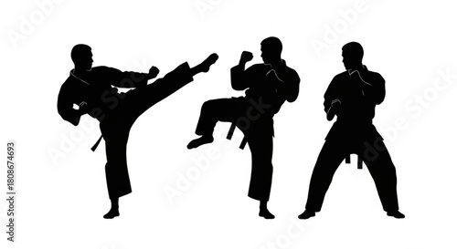 Martial Artist Silhouette Vector Illustration Showing Kick, Block, and Ready Stances in Dynamic Minimal Style

