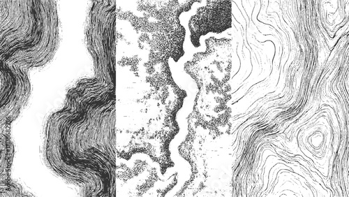 Three abstract black and white textured patterns with organic wavy lines and stippled areas vector
