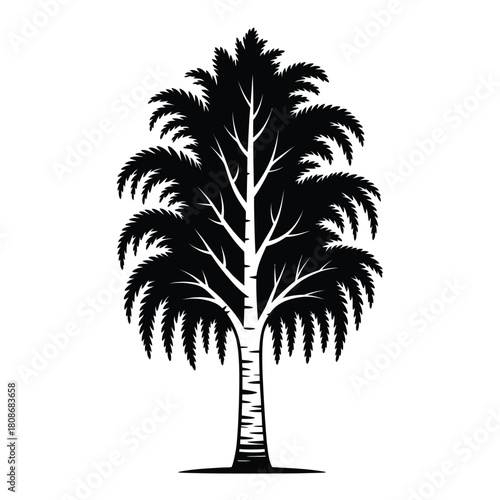 Silhouette of a tall palm tree with lush fronds against white background