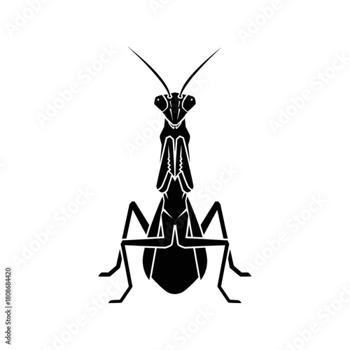 Silhouette of a Praying Mantis - Detailed Insect Illustration.