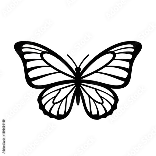 Elegant butterfly silhouette with intricate wing patterns and delicate details.