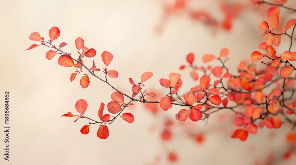 Naklejka premium Colorful autumn leaves on branches creating a stunning nature scene in warm light during the fall season