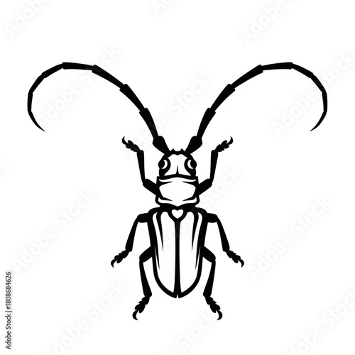 Stylized Longhorn Beetle Illustration with Exaggerated Antennae.