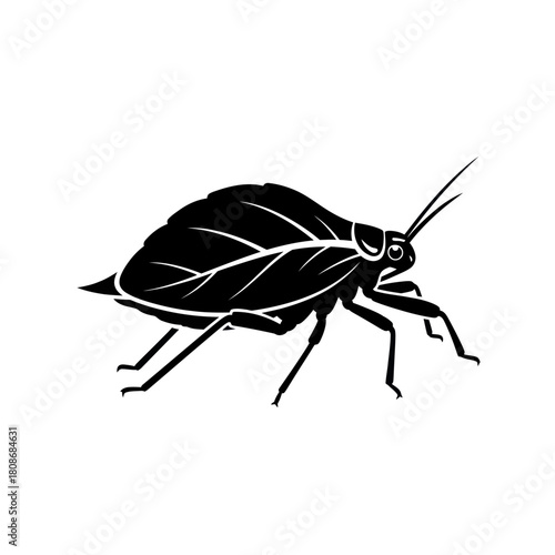 Detailed black and white illustration of a leaf insect.