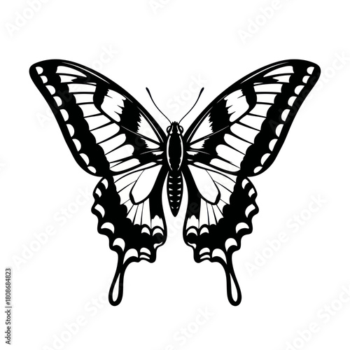 Detailed black and white illustration of a beautiful butterfly with intricate wing patterns.