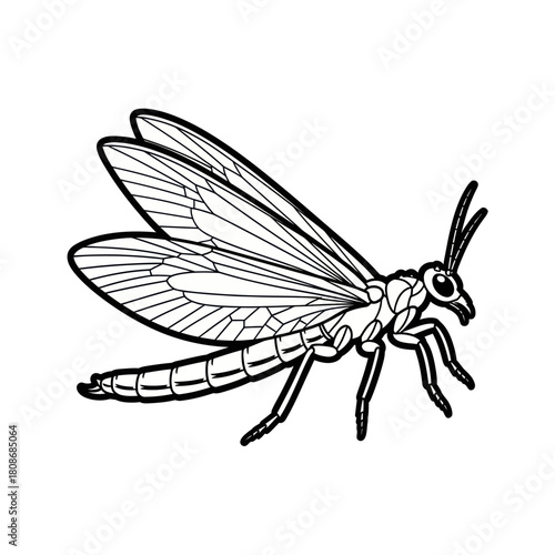 Detailed Line Drawing of a Mayfly Insect with Intricate Wings.