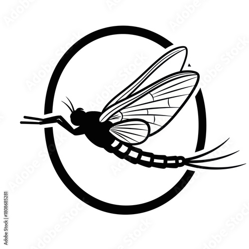 Detailed Mayfly Insect Silhouette in Flight with Delicate Wings.