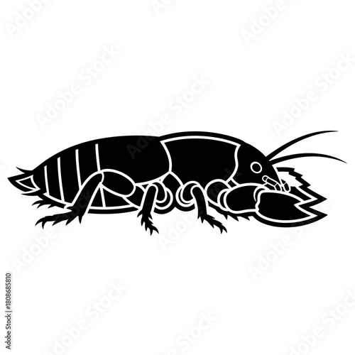 Black silhouette of a crayfish or lobster on a white background.