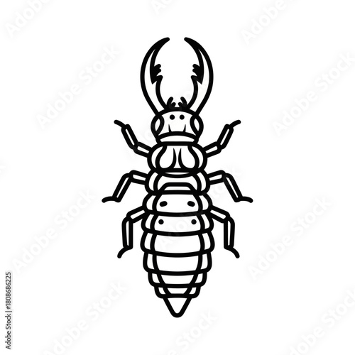 Stylized Line Art Illustration of an Antlion Larva Insect.