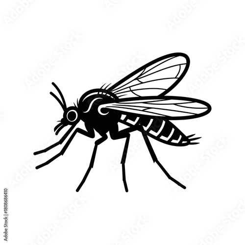 Mosquito insect side view black and white illustration.