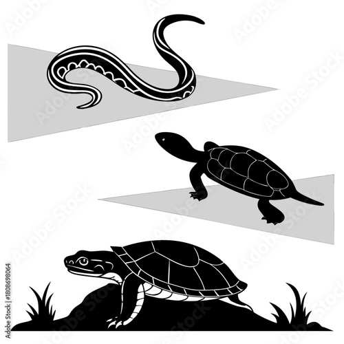 sea turtle vector illustration