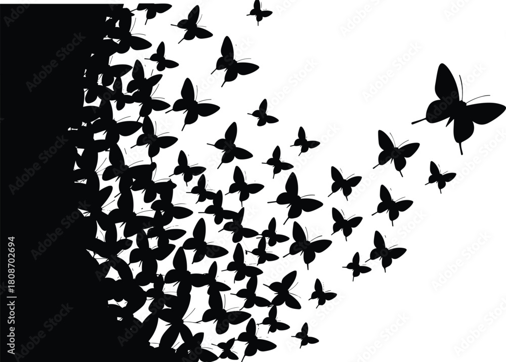 Naklejka premium Vector illustration showing black butterflies silhouette flying in a swarm from left side to right isolated on a white background