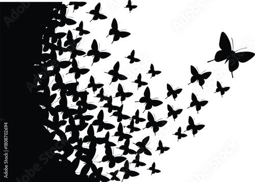Vector illustration showing black butterflies silhouette flying in a swarm from left side to right isolated on a white background