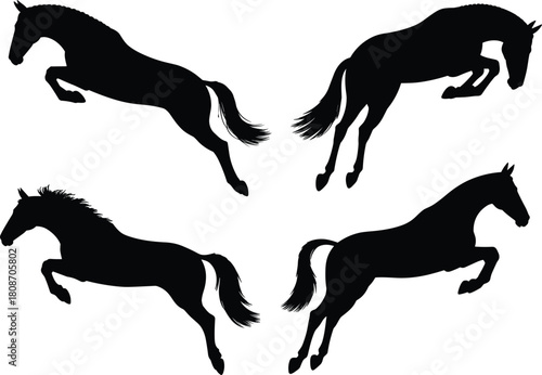 Set of four black horse silhouettes jumping and leaping vector illustration isolated on white background for equestrian sports logo design