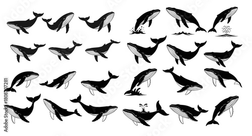 Collection of Diverse Whale Silhouettes in Various Poses and Act