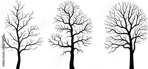 Set of three black leafless tree silhouettes isolated on white background for winter nature design and spooky landscape vector illustration