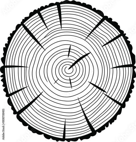 Vector illustration of tree rings cross section showing wood growth lines and cracked timber texture isolated on a white background