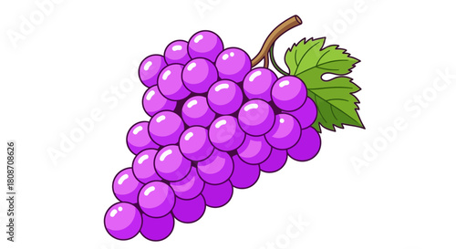 A ripe purple bunch of grapes with a green leaf vector illustration on a white background, perfect for food and wine concepts