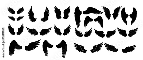 Collection of Black Silhouette Wings Various Shapes and Sizes.