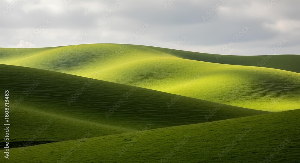 Obraz premium Rolling green hills under a cloudy sky, showcasing the beauty of nature's landscape.