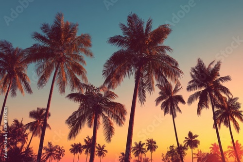Silhouetted palm trees on a tropical beach during a vibrant sunset sky with beautiful hues of orange, pink, and purple reflecting the tranquility of nature's beauty